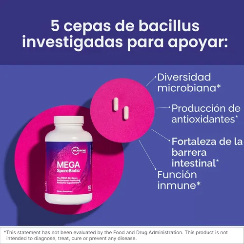 Miniatura 2 de Microbiome Labs MegaSporeBiotic Probióticos para mujeres y hombres, probióticos a base de esporas para la salud intestinal y el apoyo digestivo
