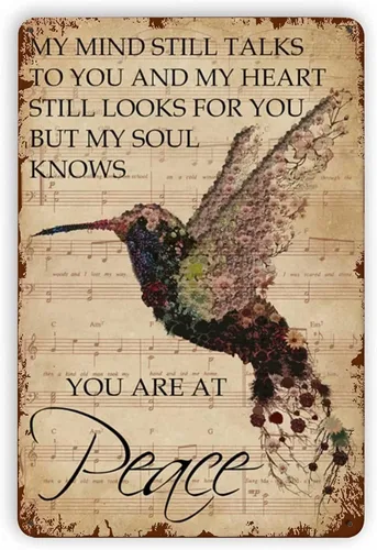 Letrero de metal con diseño de colibrí, con texto en inglés "You are at Peace", estilo retro, vintage, decoración de pared para el hogar,