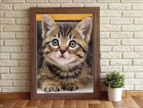 Miniatura 2 de Kit de pintura de diamante para adultos, gato atigrado para decoración de pared del hogar, 12 x 16 pulgadas