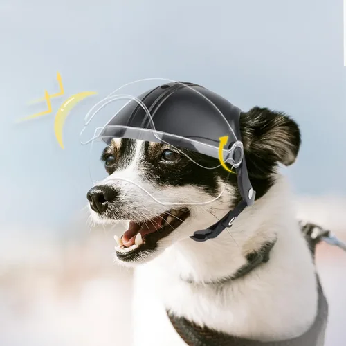 Miniatura 5 de Enjoying Casco para perro con lente transparente y agujeros para las orejas, casco de motocicleta para mascotas, sombreros para perros pequeños a