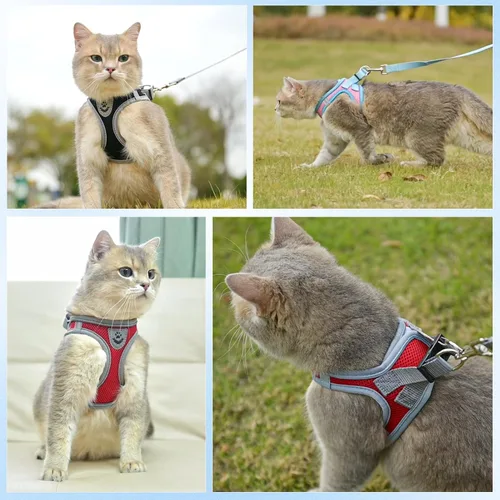 Miniatura 5 de SCENEREAL Juego de arnés y correa para gatos, a prueba de escape, arnés ajustable de malla de aire suave para gatitos para niñas y niños, gatos Negro