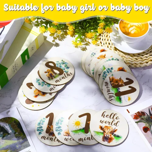 Miniatura 4 de Tiamon 16 tarjetas mensuales de madera para bebé, discos de marcador de hitos mensuales, círculos de madera de doble cara, letreros de meses