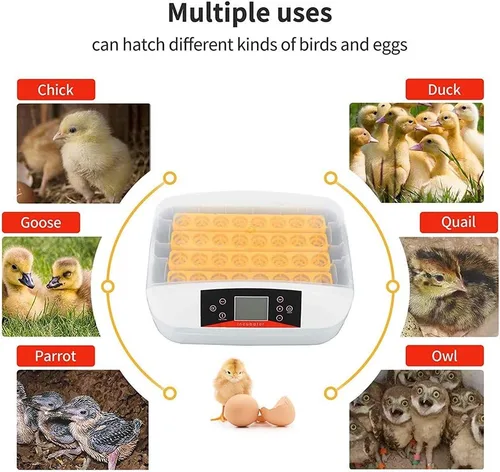 Miniatura 5 de Incubadora de huevos, 42 incubadoras de huevos para incubar huevos con girador automático digital de pollos Control de temperatura y humedad