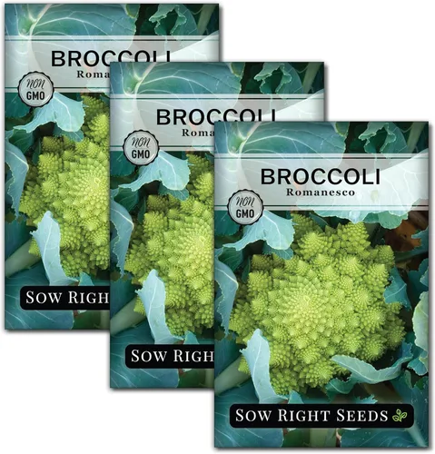 Miniatura 8 de Sow Right Seeds - Semillas de brócoli Romanesco para plantar - Paquete de reliquia sin OMG con instrucciones para plantar un huerto doméstico al