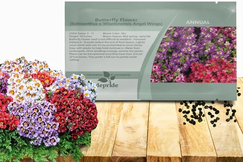 Outsidepride Semillas de flores de mariposa de alas de ángel, 5000 unidades. Semillas anuales, versátiles y fáciles de cultivar, semillas de flores