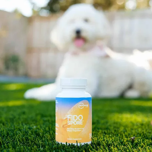 Miniatura 7 de Microbiome Labs Fidospore - Probióticos para perros para salud digestiva y apoyo inmunológico, probióticos para mascotas formadores de esporas