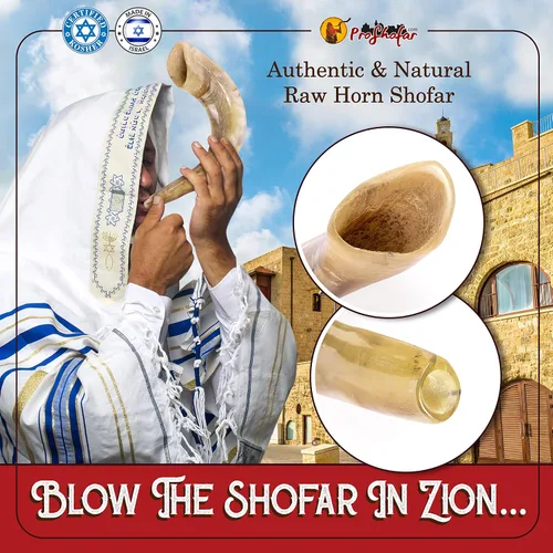 Miniatura 4 de Shofar Set (bolsa de transporte de terciopelo, aerosol neutralizador de olores, cepillo de limpieza, guía y pulsera roja de Tierra Santa) Ram Shofar