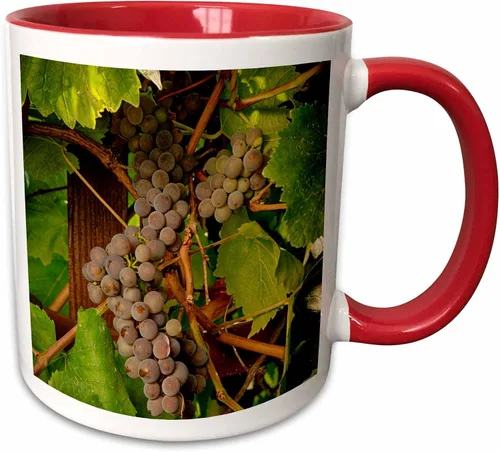 Miniatura 7 de 3dRose Danita Delimont – Vineyards – Estados Unidos, Oregón, Keizer, Pinot Gris Vineyard – US38 RBR0729 – Rick A Brown – Tazas, Negro/Blanco