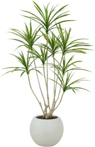Miniatura 7 de CG Hunter Árbol de filodendro sintético, soporte de árbol artificial de alta calidad para interiores, 3 pies de alto, hojas realistas y tronco