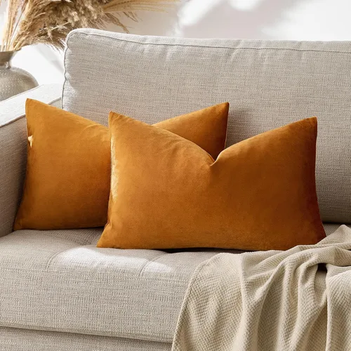 Miniatura 93 de GIGIZAZA Fundas de Almohadas Decorativas de Terciopelo Dorado, Fundas de Almohadas de 18x18 para Sofá, Sillón y Cama, Paquete de 2 Fundas de Cojines