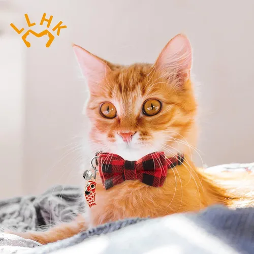 Miniatura 2 de LLHK Paquete de 4 collares de gato pequeños con pajarita y campana, collar personalizado para gatito para niñas y niños, ajustable de 7 a 12