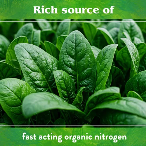 Miniatura 6 de Down To Earth All Natural Fertilizers Harina de sangre orgánica - Alimento vegetal con alto contenido de nitrógeno para crecimiento verde 12-0-0, 4