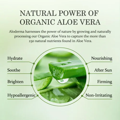 Miniatura 4 de Aloderma Crema hidratante de manos de aloe, tamaño de viaje de 3.5 onzas, crema de manos suave no grasa para manos secas y agrietadas, loción ligera