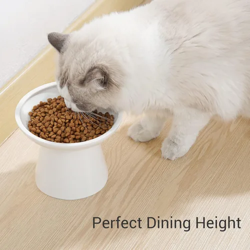 Miniatura 2 de CEEFU Cuenco elevado extra ancho de cerámica para gatos, plato poco profundo de 6.2 pulgadas para aliviar la fatiga de los bigotes, 5 pulgadas