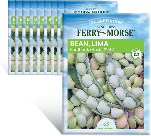 Miniatura 15 de Ferry-Morse Online Edition Tomato Supersweet 100 semillas híbridas – Alta tasa de germinación, sin OGM – Paquete de 8 Tomato Supersweet 100 Hybrid