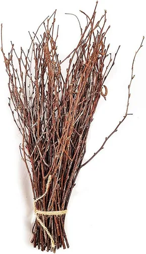 Miniatura 5 de Ramas de abedul natural de 2-3 pies perfectas para jarrones, centros de mesa y arreglos (natural, 12-15 tallos)