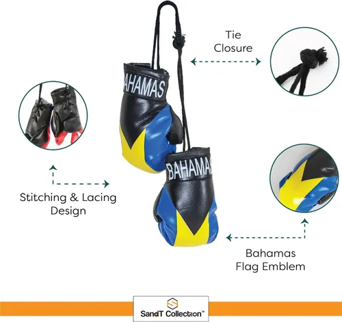 Miniatura 4 de SandT Collection Guantes de boxeo pequeños con bandera del país - Guantes de boxeo para colgar