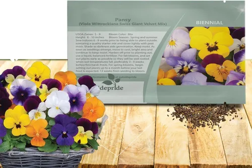 Outsidepride Velvet Mix Viola - Semillas de pensamiento para plantar, 1000 unidades. Flores bienales, resistentes al frío y aptas para polinizadores