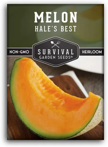Miniatura 10 de Survival Garden Seeds - La mejor semilla de melón de Hale para plantar - Cultiva melón jugoso para comer - 5 paquetes con instrucciones para plantar