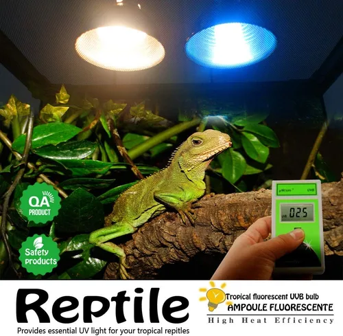 Miniatura 3 de Bombilla de reptil UVA UVB 5.0 13W Rainforest UVB Bombilla compacta fluorescente terrario con tarjeta de probador UV para dragón barbudo, tortuga