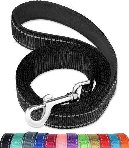 FunTags - Correa para perros de 4 pies reflectante con mango acolchado suave para entrenamiento; correa de paseo para perros grandes y medianos, de