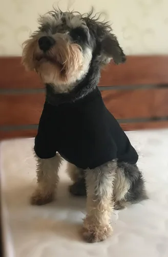 Miniatura 6 de Lovelonglong Sudadera para perro, otoño, invierno, clima frío, camisetas para perros pequeños, medianos y grandes, ropa en miniatura, Schnauzer Shih