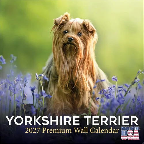 Miniatura 205 de Calendario amarillo 2025 2026 de Labrador Pups – Calendario mensual de pared de raza de perro – 12" x 24" abierto – Papel grueso anti-traspaso