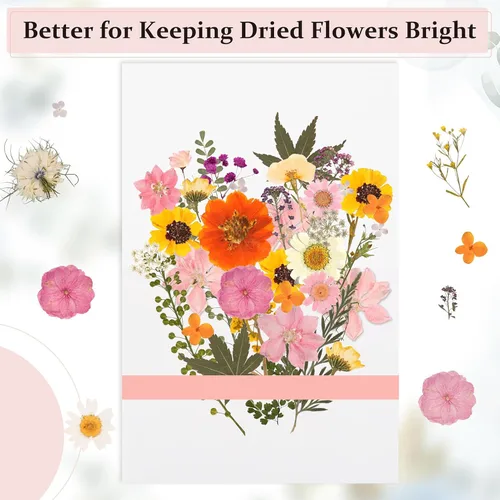 Miniatura 4 de Aboofx 42 hojas de papel absorbente para prensado de flores, gran tamaño 8 x 11.5 pulgadas A4, hojas de papel absorbente altamente absorbentes