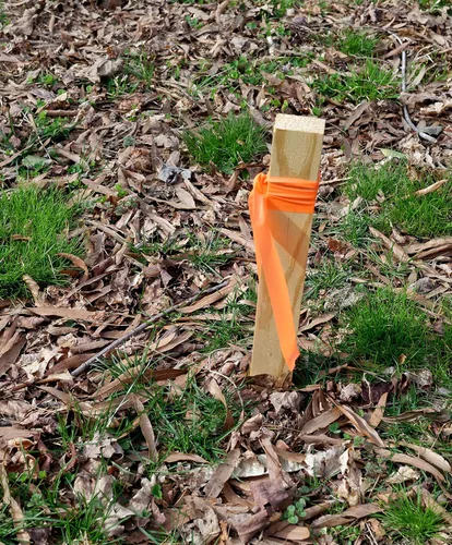 Miniatura 3 de Brady Cinta de señalización naranja fluorescente para límites y áreas peligrosas, cinta no adhesiva, 1.188 pulgadas de ancho, 150 pies de longitud