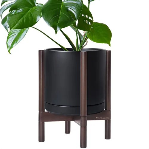 Miniatura 75 de D'vine Dev Maceta de cerámica con soporte de ébano – Maceta redonda moderna de 8 pulgadas con soporte para maceta de madera, color negro, 55-B-M-2