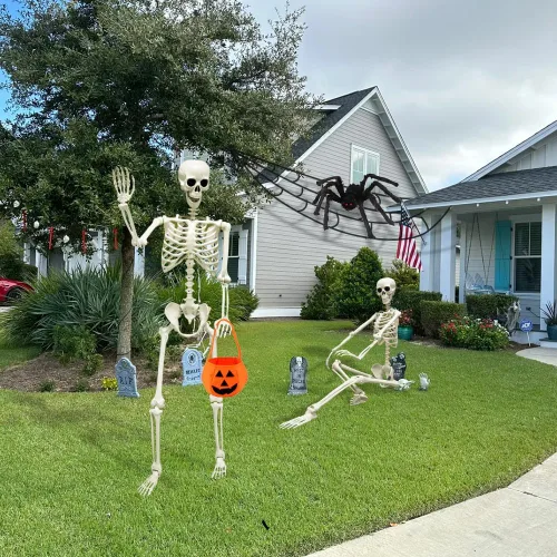 Miniatura 4 de CAMIRUS Esqueleto de Halloween de 5.4 pies/65.0 in, esqueleto de tamaño real con bolsa de calabaza de araña peluda, huesos humanos de cuerpo