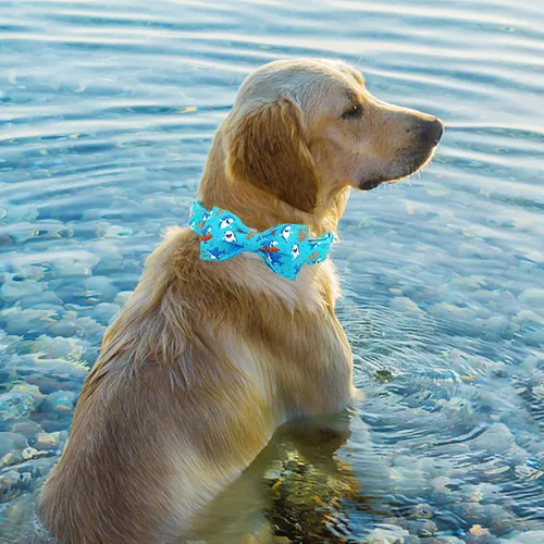 Miniatura 6 de Collar para perro, con estampado de tiburón, collar para cachorro, collar para mascotas, collar de lazo para perros, suave, duradero, ajustable, A