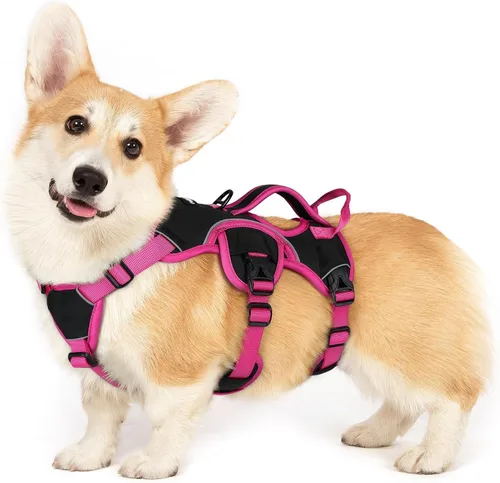 Miniatura 9 de rabbitgoo - Arnés para perro a prueba de fugas, arnés para mascotas acolchado suave de cuerpo completo, chaleco reflectante ajustable sin tirones
