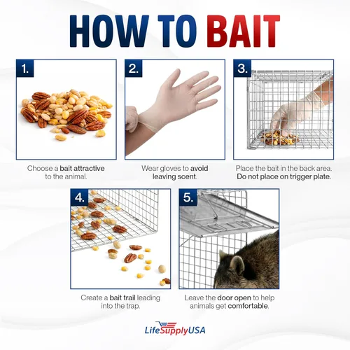 Miniatura 8 de Trampa humana para gatos callejeros de 24 pulgadas, jaula de animales vivos para gatitos salvajes, zarigüeya, mapache, conejo, armadillo, trampa