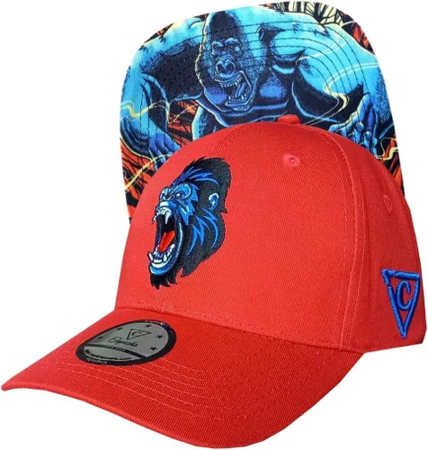 Miniatura 206 de Capiche - Gorra de visera plana de serie especial, talla única, unisex, hombre, más de 99 diseños