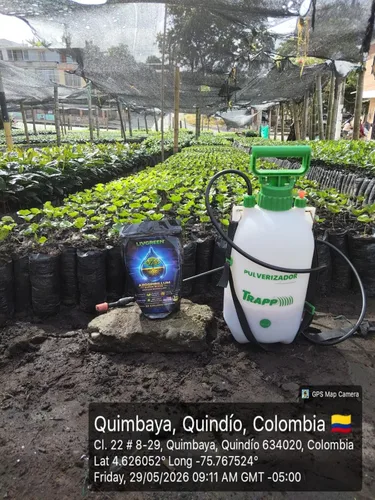 Miniatura 7 de Azospirillum Super Blend, totalmente natural, bio fertilizante, aumenta el crecimiento de las plantas y la masa de raíces, perfecta para nuevas