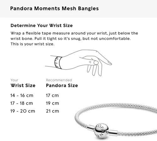 Miniatura 6 de Pandora Jewelry Moments - Pulsera de plata de ley con dije de malla, Metal