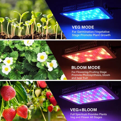 Miniatura 2 de Beelux Luz LED de Cultivo de 1000W para Plantas de Interior de Espectro Completo, Chips Dobles Mejorados e Interruptor Dual, Luces de Cultivo