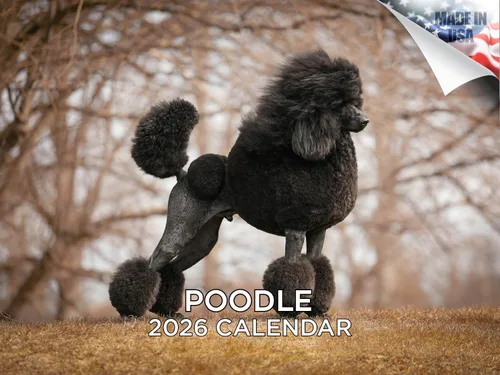 Miniatura 195 de Calendario 2025 2026 de cachorros Cocker Spaniel - Calendario mensual de pared de raza de perro - 12" x 24" abierto - Papel grueso sin sangrado