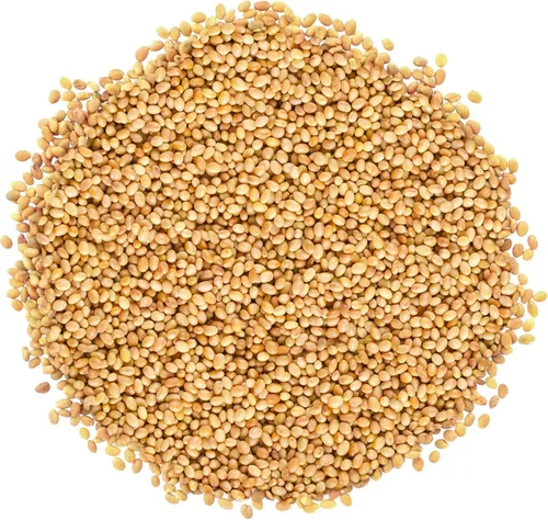 Miniatura 3 de Semillas de trébol orgánicas para germinar, 10 libras, sin OMG, puras, veganas, kosher, a granel. Semillas comestibles. Ricas en vitaminas