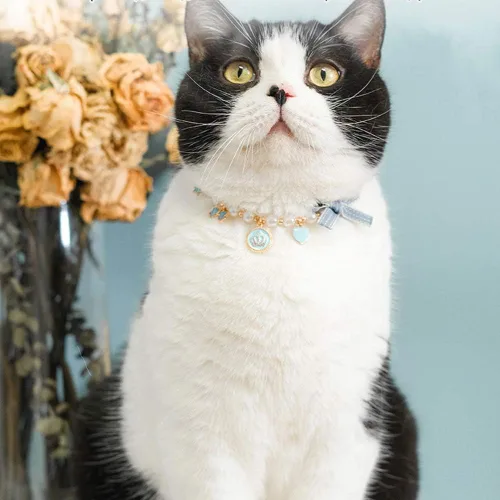 Miniatura 6 de Collar de moda para mascotas, collar de corona de perlas de gato, accesorios para mascotas, collar de peluche, collar de joyería de perlas XS Rosa