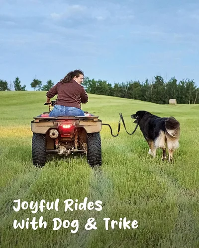 Miniatura 9 de Correa de bicicleta para perros – Accesorio de bicicleta manos libres para perros, absorción de golpes segura, longitud ajustable, fácil de instalar