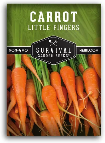 Semillas de zanahoria Little Finger para plantar, variedad de reliquia de bebé con raíces cortas y dulces para contenedores y jardines pequeños,