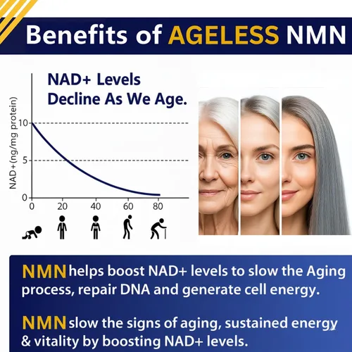 Miniatura 3 de Suplemento NMN de 500 mg, mononucleótido de nicotinamida 99% puro, aumenta los niveles de NAD+, apoya la energía, masa corporal magra