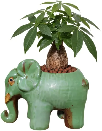 Lindas macetas de cerámica en forma de elefante animal para suculentas, cactus, plantas de aire - la planta no está incluida (17 cm Verde)