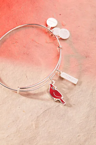 Miniatura 2 de Alex and Ani Pulsera Brazalete con Dije Dúo Cardinal 'Strength