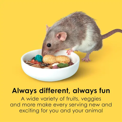 Miniatura 3 de Comida para ratones y ratas Kaytee Fiesta, mezcla nutritiva y divertida, apoya la salud dental y la digestión, 2 libras