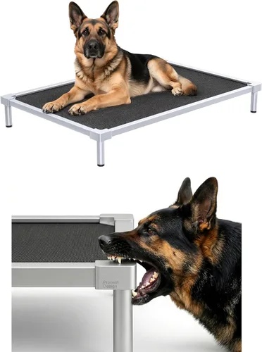 Cama elevada para perros de tamaño mediano, aleación de aluminio a prueba de masticación, suministros resistentes para perros, cuna elevada para