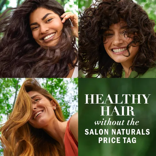 Miniatura 3 de Herbal Essences Juego de champú y acondicionador reparador de aceite de argán, hidrata y suaviza, sin parabenos, seguro para el color, pH