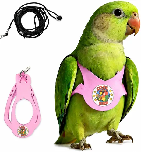 Miniatura 22 de Juego de arnés ajustable y correa para pájaros pequeños, apto para periquitos, conures, cacatúas, mejillas verdes, loros cuáqueros (verde, XS) 6350-6